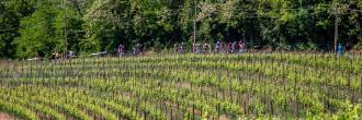 7° Trofeo Giornata del Ciclismo Manzanese